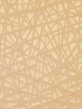 Scalamandre Streets Cipria Fabric