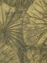 Scalamandre Lotus Olive Fabric