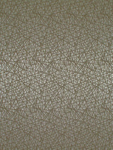 Scalamandre Streets Salice Fabric