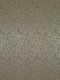 Scalamandre Streets Salice Fabric