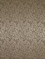 Scalamandre Streets Bronzo Fabric