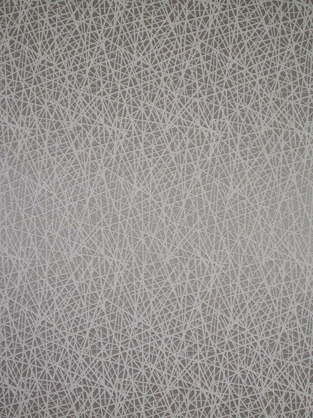 Scalamandre Streets Argento Fabric