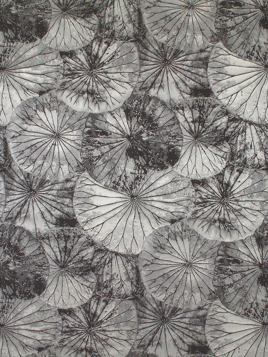 Scalamandre Lotus Espresso Fabric