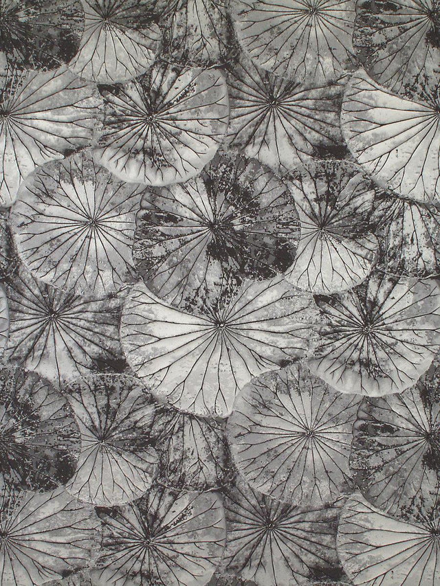 Scalamandre Lotus Espresso Fabric