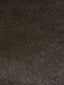 Scalamandre Inuit Mohair Carbone Fabric