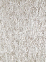 Scalamandre Trastevere Pearl Fabric