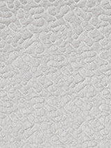 Scalamandre Galleria Colonna Lace Almond Fabric