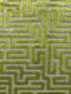 Scalamandre Velluto Labirinto Citron Fabric