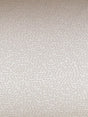 Scalamandre Piazza Navona Dot Almond Fabric