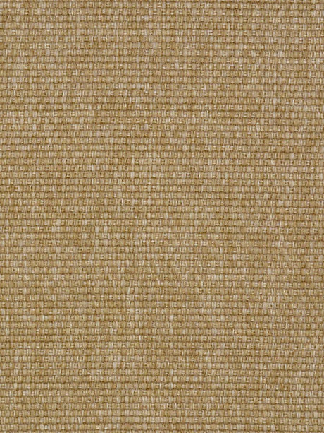 Scalamandre Madagascar Solid Fr Raffia Fabric