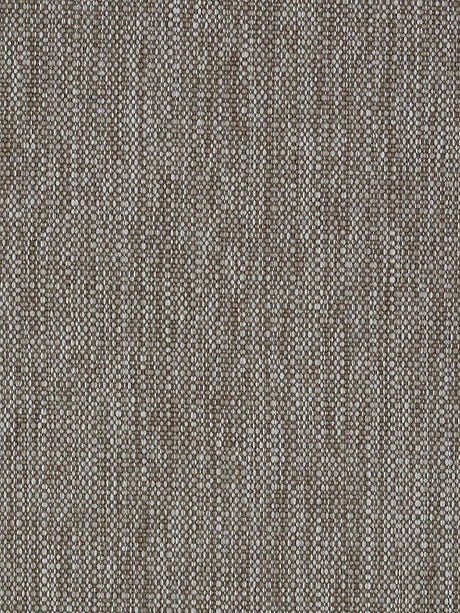 Scalamandre Madagascar Plain Fr Buff Fabric