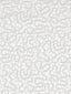 Scalamandre Galleria Colonna Lace Snow Fabric