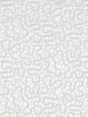 Scalamandre Galleria Colonna Lace Snow Fabric