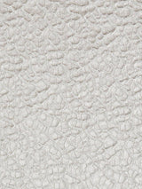Scalamandre Galleria Colonna Lace Sand Fabric