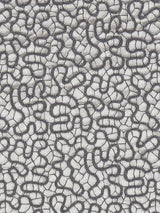 Scalamandre Galleria Colonna Lace Grey Fabric