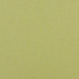 Baker Lifestyle CARNIVAL PLAIN LIME Fabric