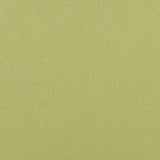 Baker Lifestyle CARNIVAL PLAIN LIME Fabric