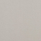 Baker Lifestyle CARNIVAL PLAIN SILVER Fabric