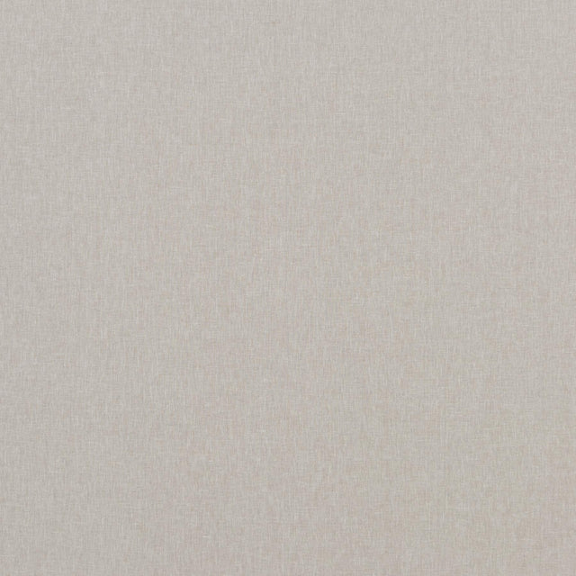 Baker Lifestyle CARNIVAL PLAIN SILVER Fabric