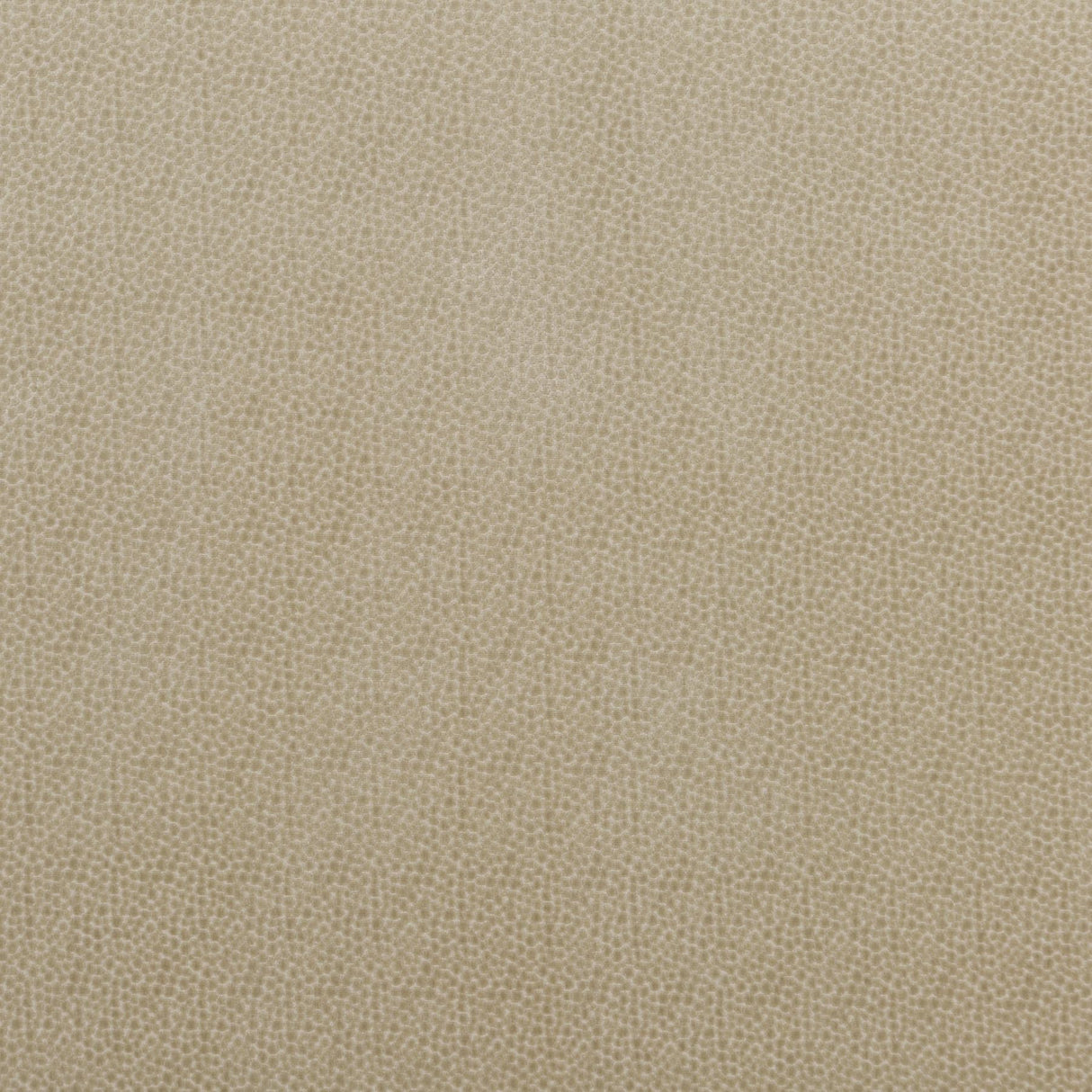 Baker Lifestyle SALSA SPOT PARCHMENT Upholstery Fabric