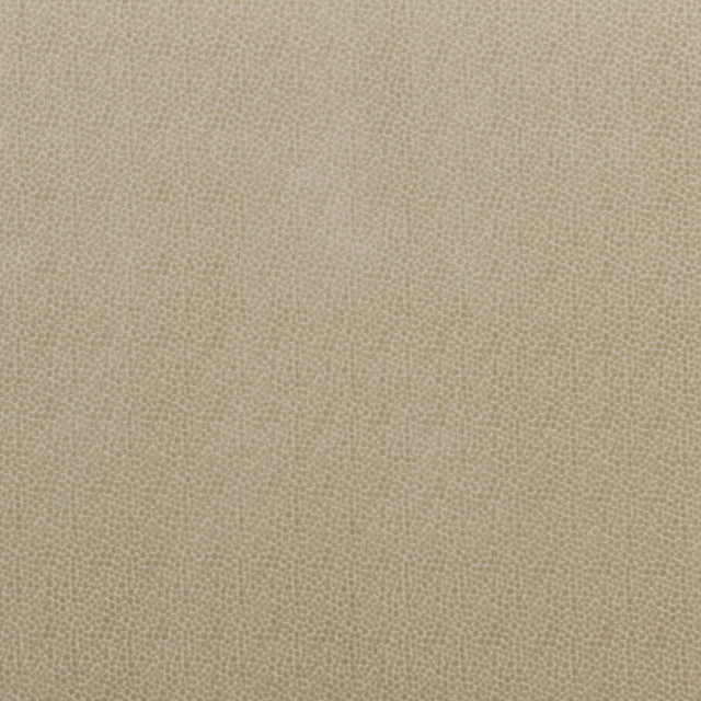 Baker Lifestyle SALSA SPOT PARCHMENT Upholstery Fabric