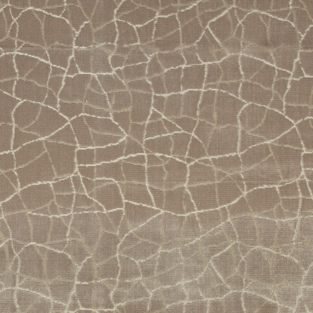 Kravet FORMATION FAWN Upholstery Fabric