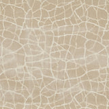 Kravet FORMATION CHAMPAGNE Upholstery Fabric