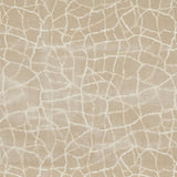 Kravet Formation Champagne Fabric