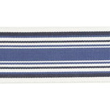 Baker Lifestyle TANGO BRAID INDIGO Trim