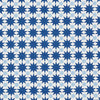 Schumacher Cosmos Blue Fabric