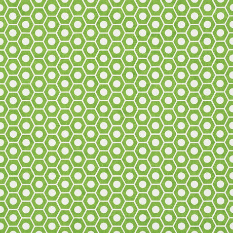 Schumacher Queen B Green Fabric