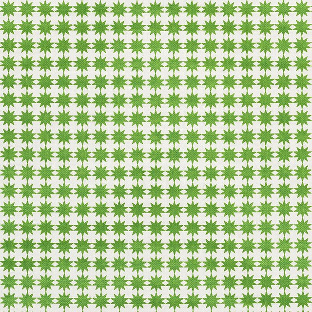 Schumacher Stella Green Fabric