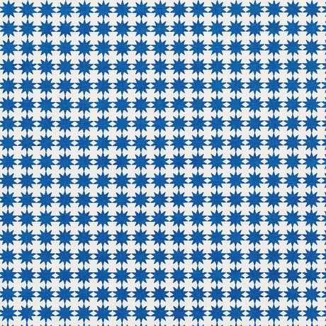 Schumacher Stella Blue Fabric