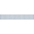 Schumacher Salton Tape Blue Trim