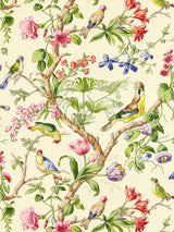 Scalamandre Belize Print Sunlit Fabric