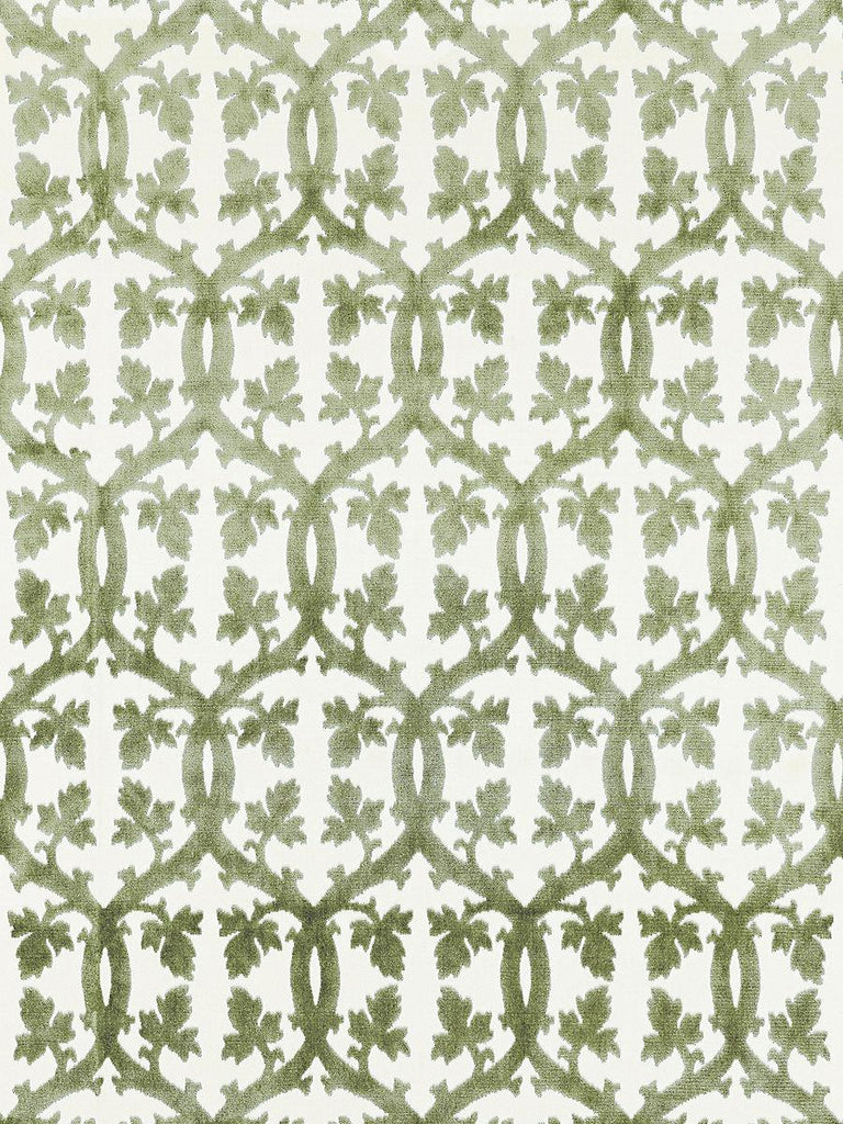 Scalamandre FALK MANOR HOUSE GREEN TEA Fabric