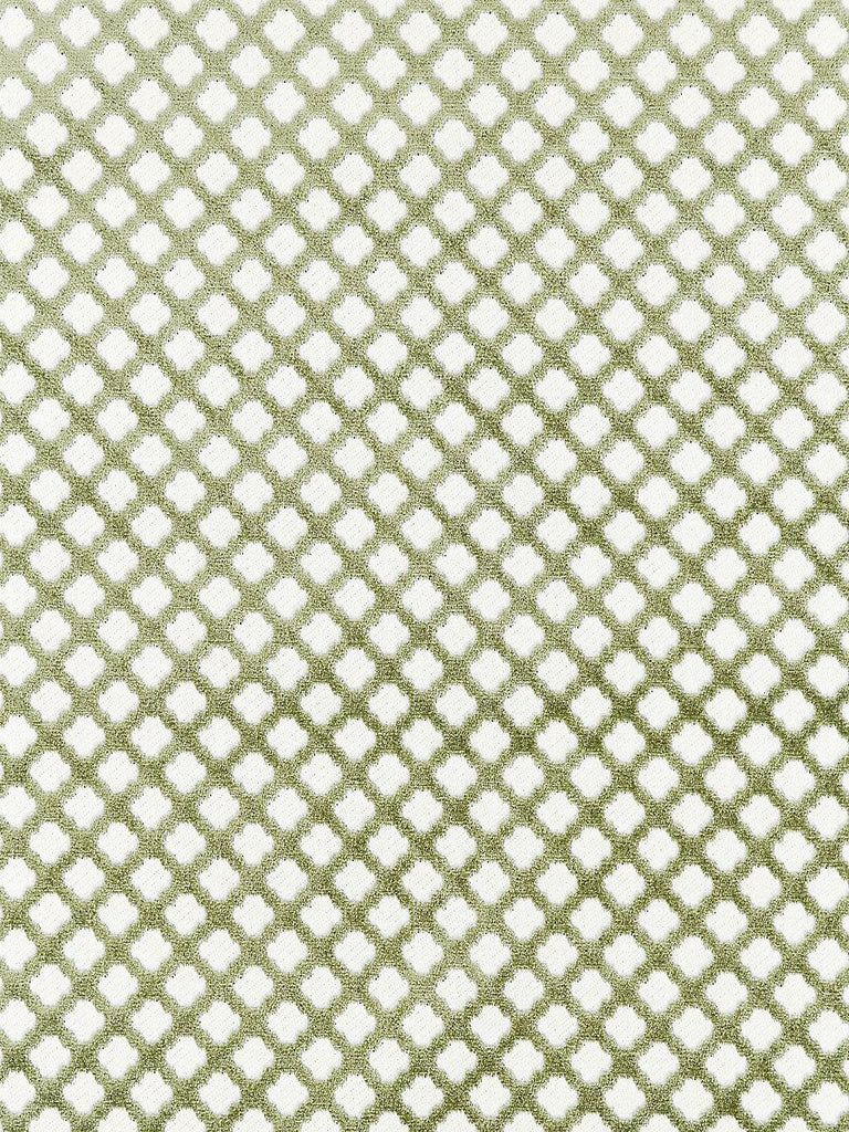 Scalamandre POMFRET GREEN TEA Fabric