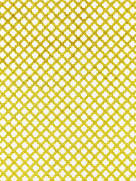 Scalamandre Pomfret Chartreuse Fabric