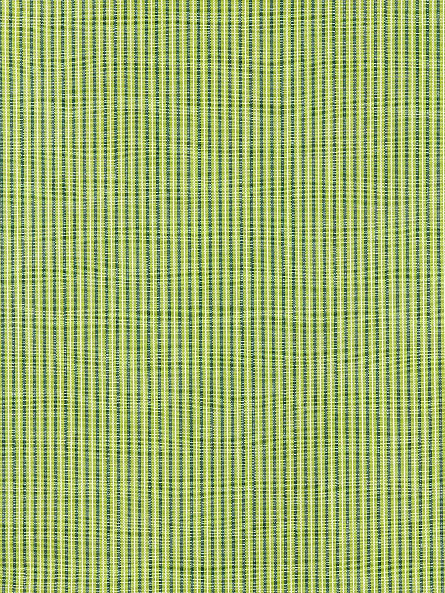Scalamandre Tisbury Stripe Fern Fabric