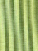 Scalamandre Tisbury Stripe Fern Fabric