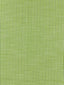 Scalamandre Tisbury Stripe Fern Fabric