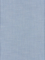 Scalamandre Tisbury Stripe Cornflower Fabric