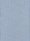 Scalamandre Tisbury Stripe Cornflower Fabric