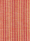 Scalamandre Tisbury Stripe Mango Fabric