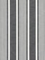 Scalamandre Wellfleet Stripe Carbon Fabric