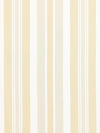 Scalamandre Mayfair Cotton Stripe Pebble Fabric