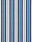 Scalamandre Andover Cotton Stripe Indigo Fabric
