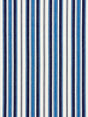 Scalamandre Andover Cotton Stripe Indigo Fabric