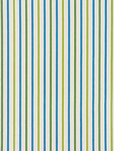 Scalamandre Leeds Cotton Stripe Ocean Palm Fabric