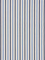 Scalamandre Leeds Cotton Stripe Indigo Fabric